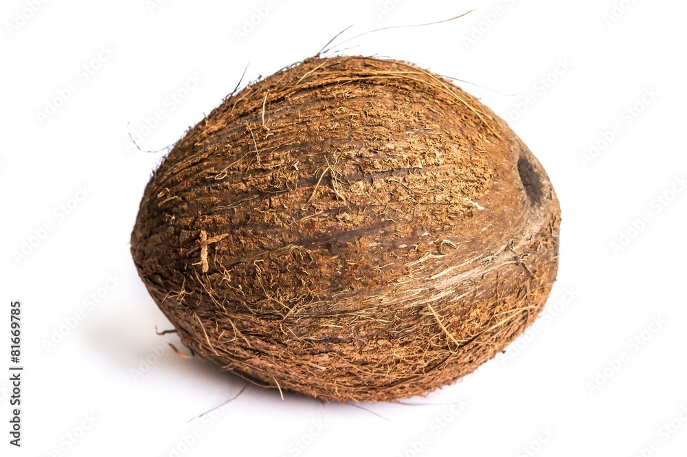 Coconut Coconut