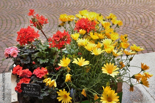 Fototapeta Naklejka Na Ścianę i Meble -  Cesta di fiori