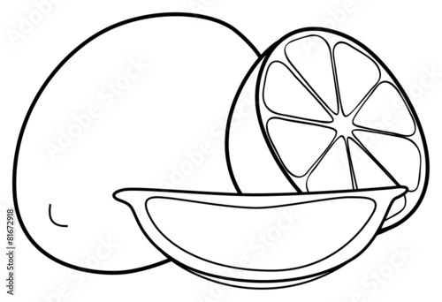 Delightful garden - One lemon, one half and one slice of lemon