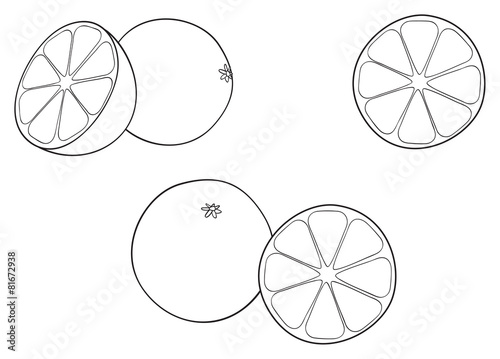 Delightful garden - Set of oranges and theirs halves