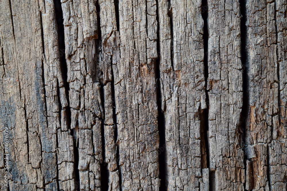 Grunge Wooden Texture used as background Grunge Wooden Texture used as background