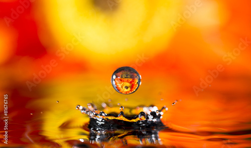 reflection in drops orange flower