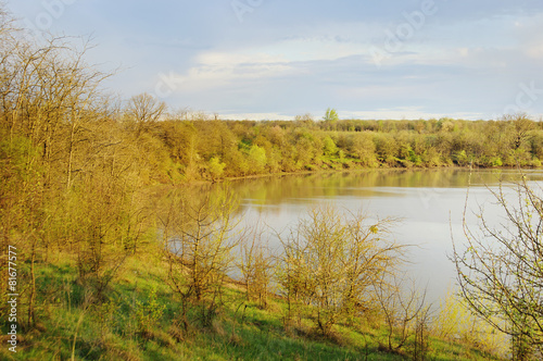 Landscape with beautiful wood lake