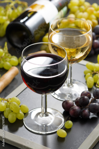 red and white wine in glasses, fresh grapes in the background
