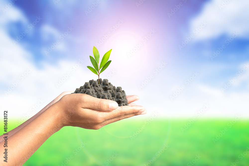 We love the world of ideas, man planted a tree in the hands We love the world of ideas, man planted a tree in the hands