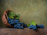 Still life with grapes on a basket