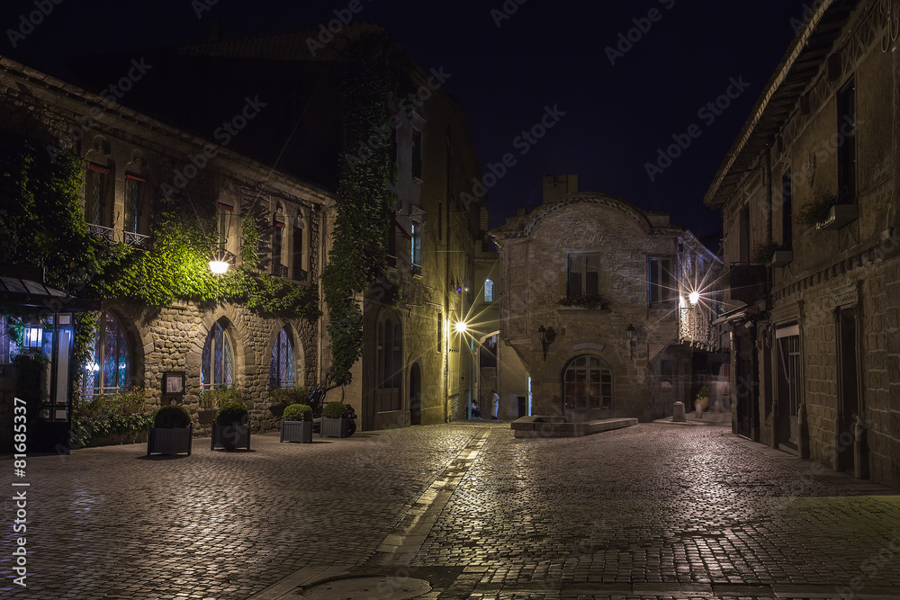 Fototapeta premium City of Carcassonne at night