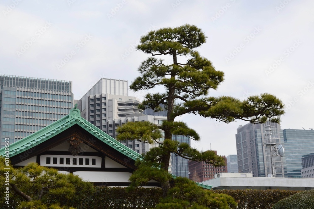 Kaiserpalast Garten in Tokyo, Japan