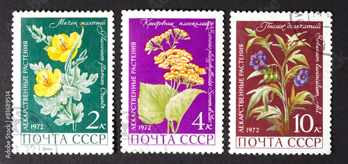 series of stamps printed in USSR, shows medicinal plants, 1979