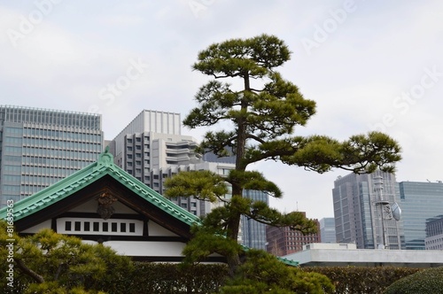 Kaiserpalast Garten in Tokyo  Japan