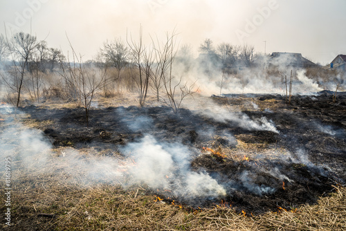 Grass in a fire © AntonChigarev
