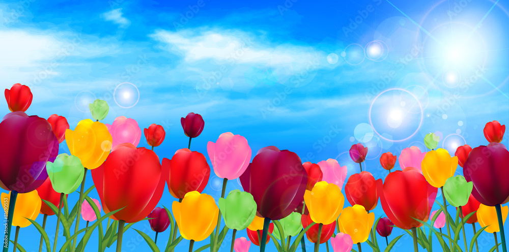 チューリップ 花 背景 チューリップ 花 背景