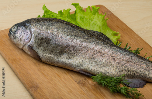 Raw fresh trout