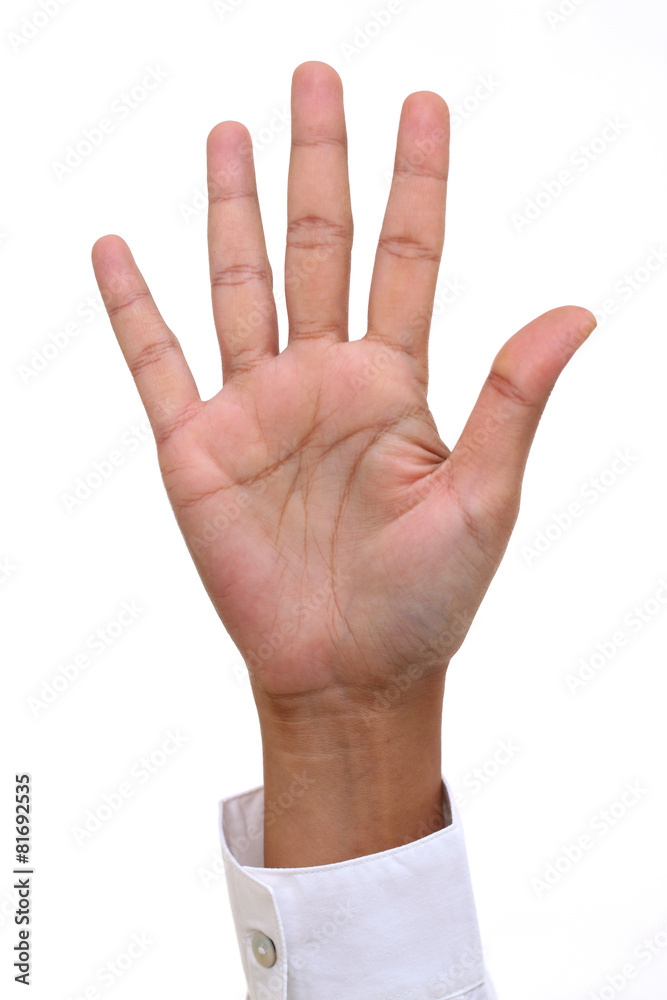 Businesswoman hand on a white background Businesswoman hand on a white background