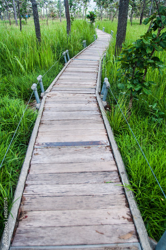 Fototapeta Naklejka Na Ścianę i Meble -  wood bridge walk in the park Pa Hin Ngam National Park in Thai