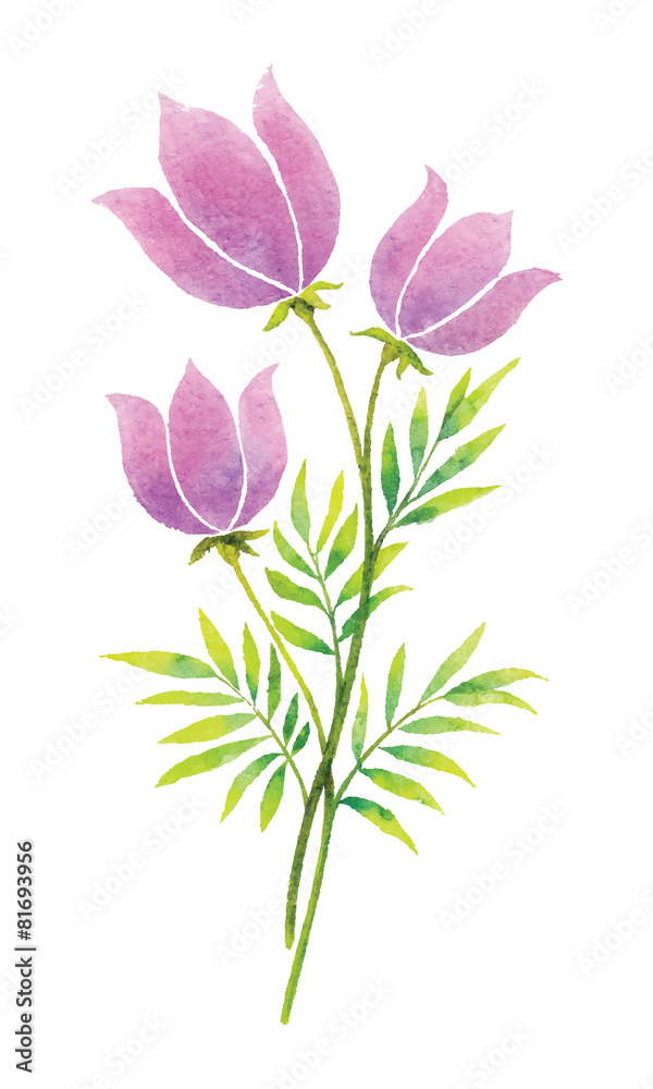 Watercolor flowers Watercolor flowers