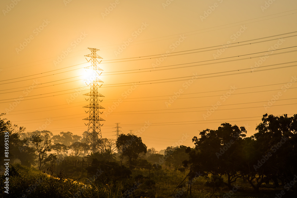 Fototapeta premium Silhouette electric post with tree