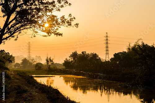 Silhouette electric post with tree