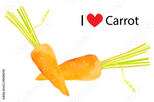 Carrot vector