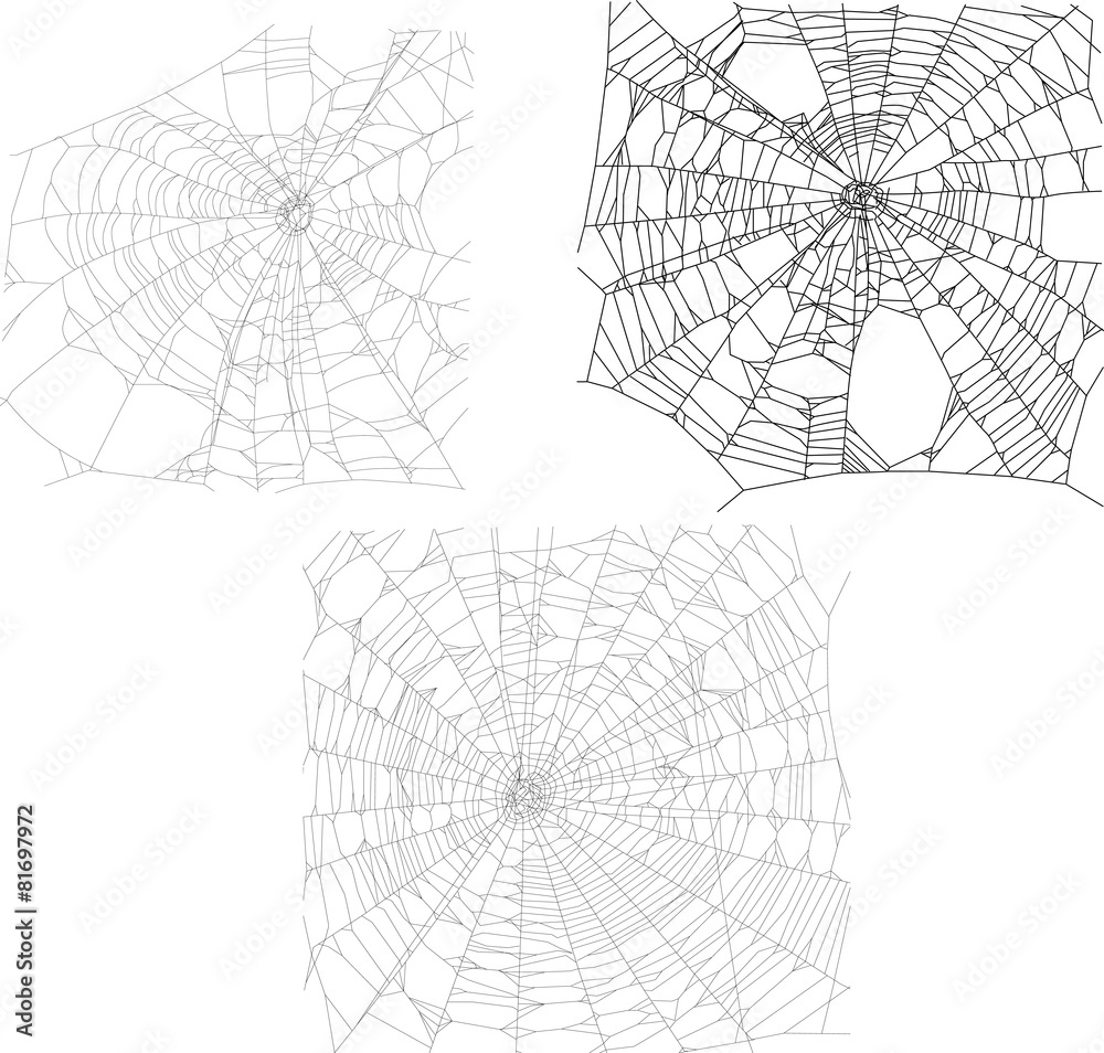 three black spider webs collection