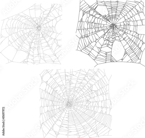 three black spider webs collection