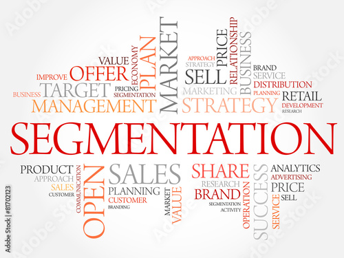 Segmentation word cloud, business concept