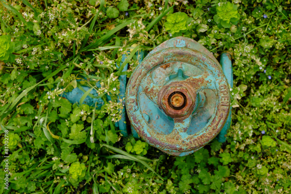 Old rusty hydrant in the park on the green grass