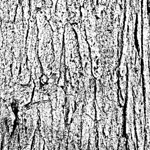 Tree Bark Texture