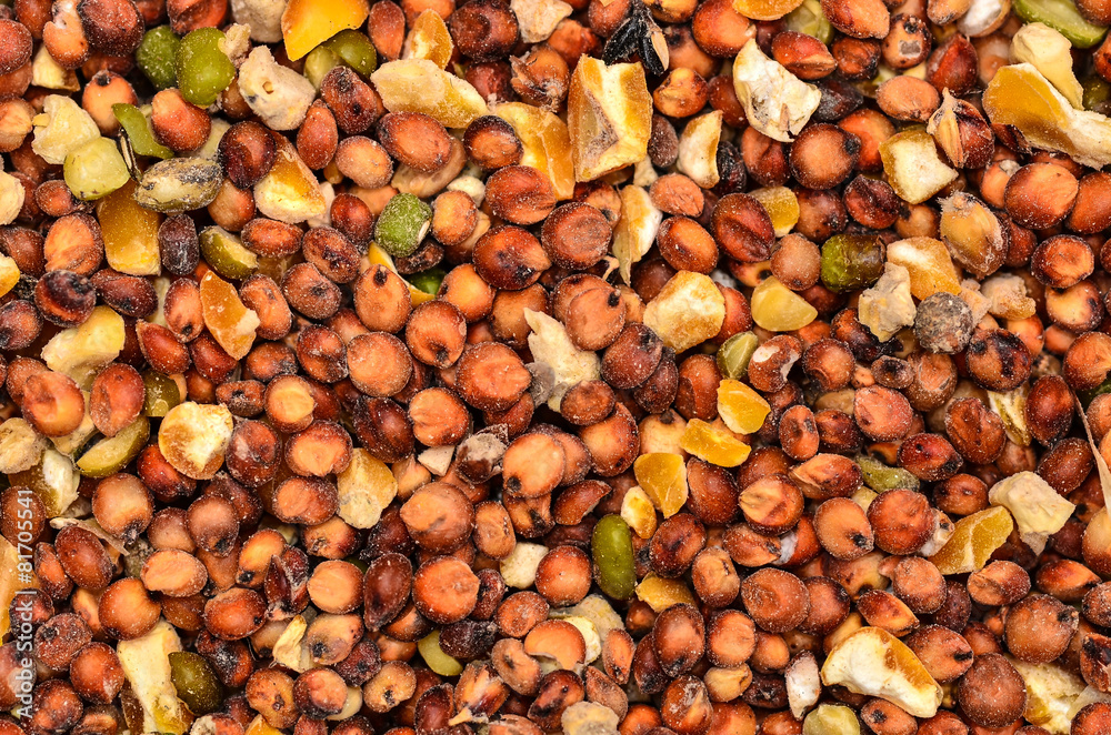 Dry seeds Dry seeds