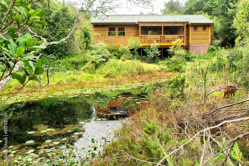 Forest house next to pond