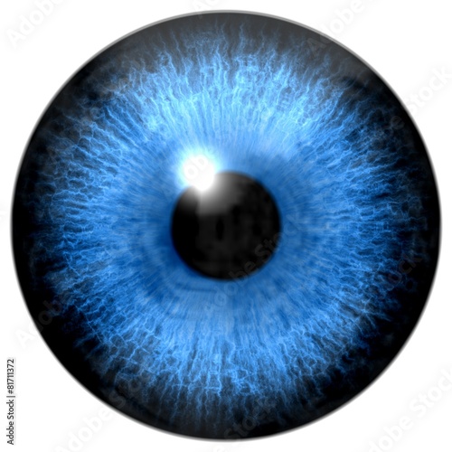 Illustration of blue eye iris  light reflection. Five sizes.