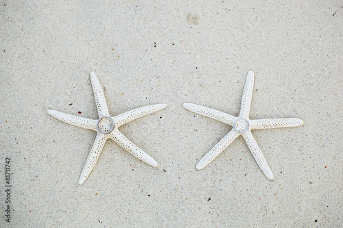 the wedding rings with starfish on the beach © kireewongfoto