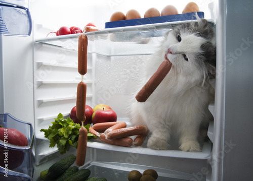Fototapeta Naklejka Na Ścianę i Meble -  cat steals sausage from the refrigerator