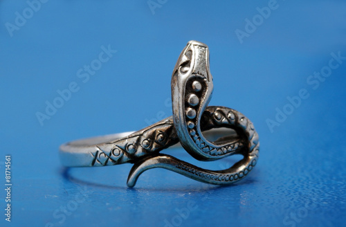 silver ring in the form of a snake
