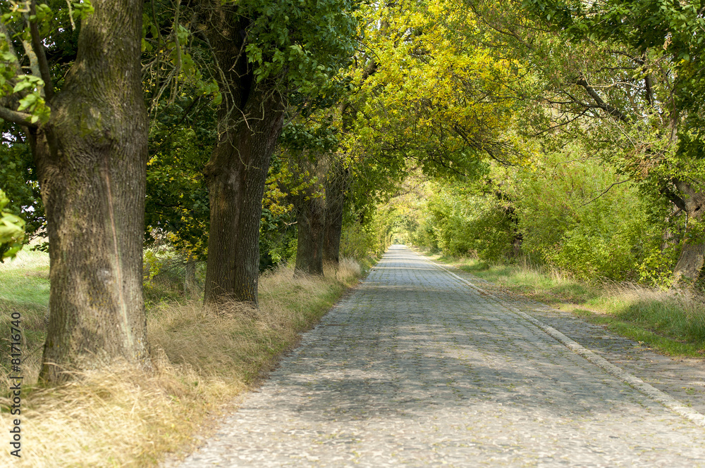 Fototapeta premium Stone road, Olyka, Volyn region