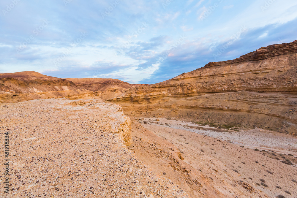 view in the desert