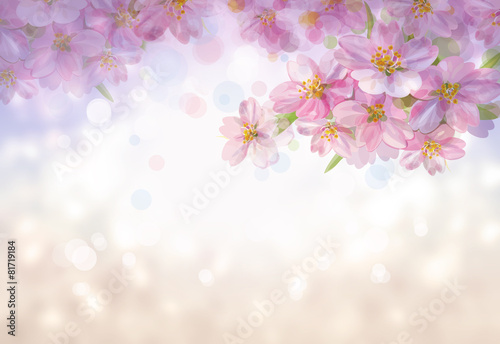 Blossoming branches of sakura tree, spring bokeh background.