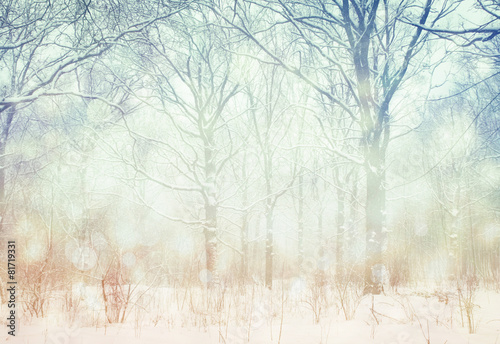 Winter wonderland forest background.