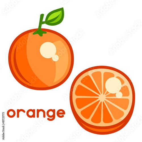 Stylized illustration of fresh orange on white background