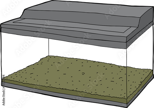 Empty Clear Glass Habitat