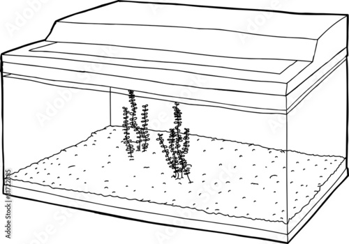 Outline of Aquatic Plants