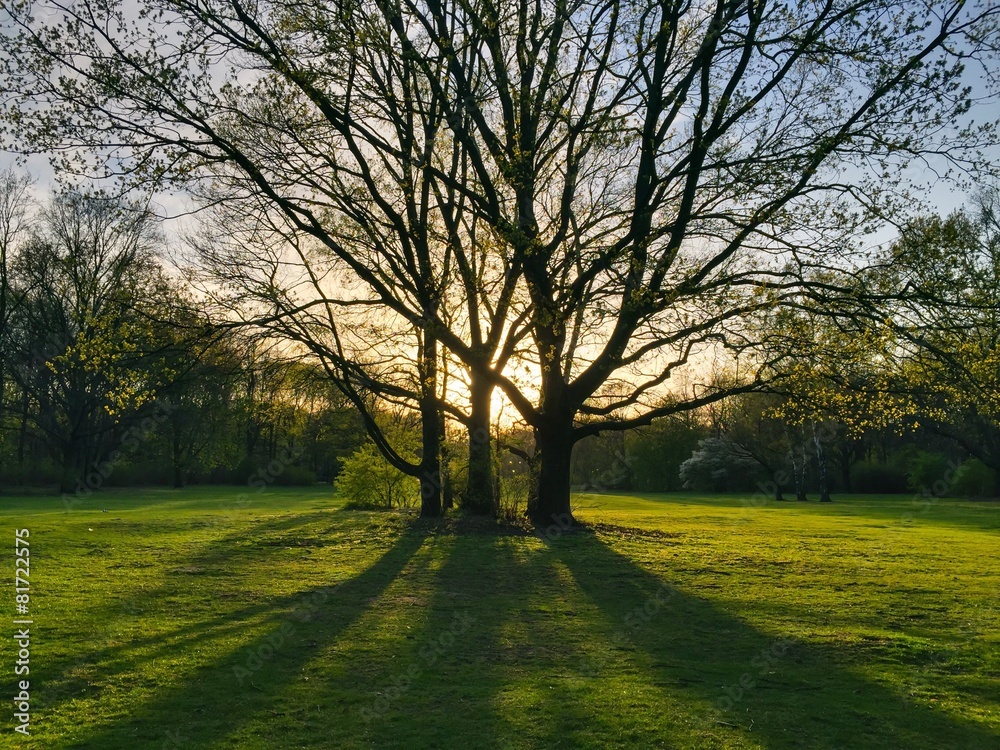 Fototapeta premium Erholung im Grünen