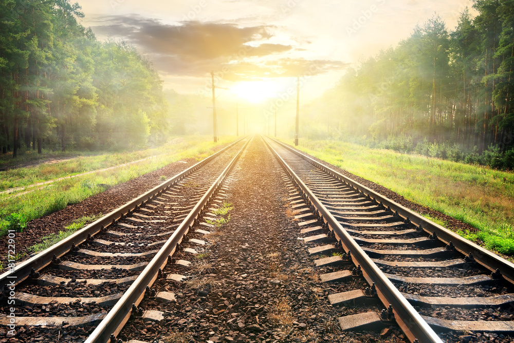 Fog over railroad