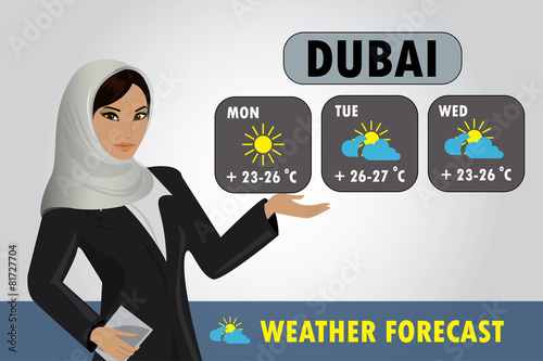 Vector illustration of a TV weather reporter at work