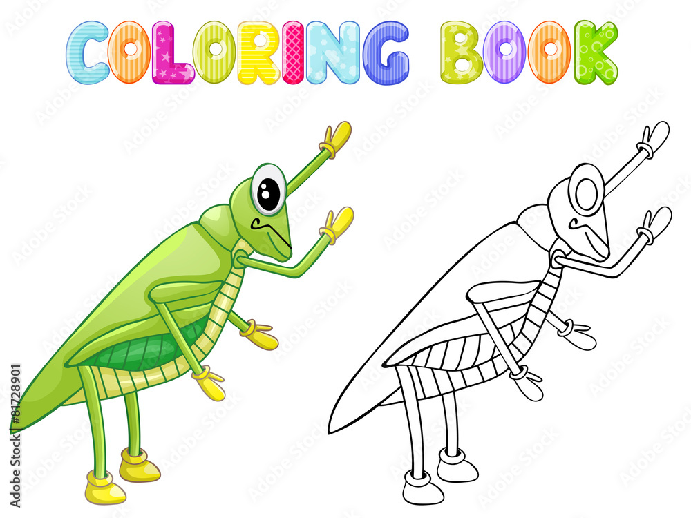Fototapeta premium Coloring cricket bug