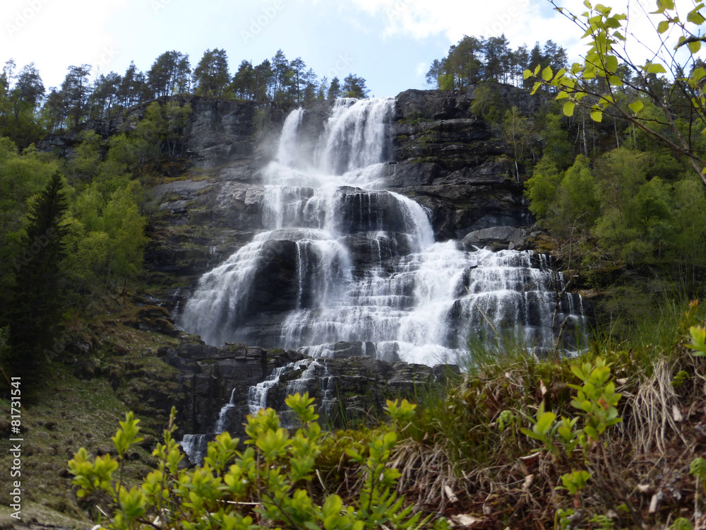 Fototapeta premium Wasserfall in Norwegen