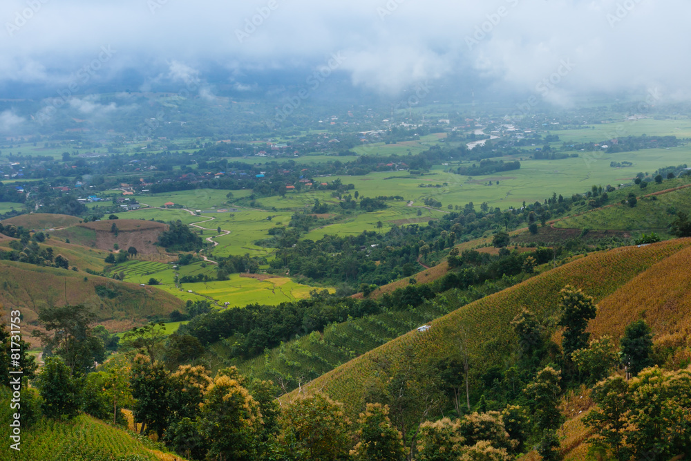View to Rice plantations and village on the hill in Chaing Mai