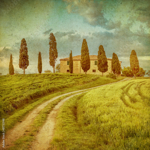 Fototapeta Naklejka Na Ścianę i Meble -  vintage tuscan landscape