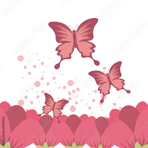 beautiful butterflies