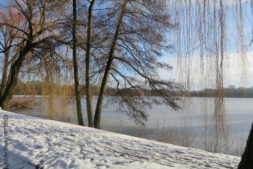 Schwanenteich Zwickau im Winter mit Schnee photo